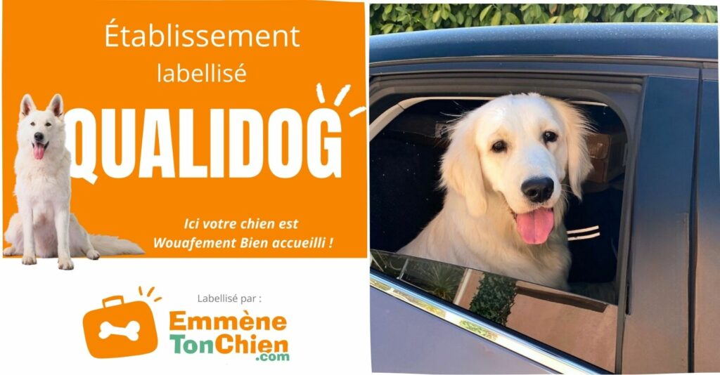 emmene ton chien label qualidog tourves