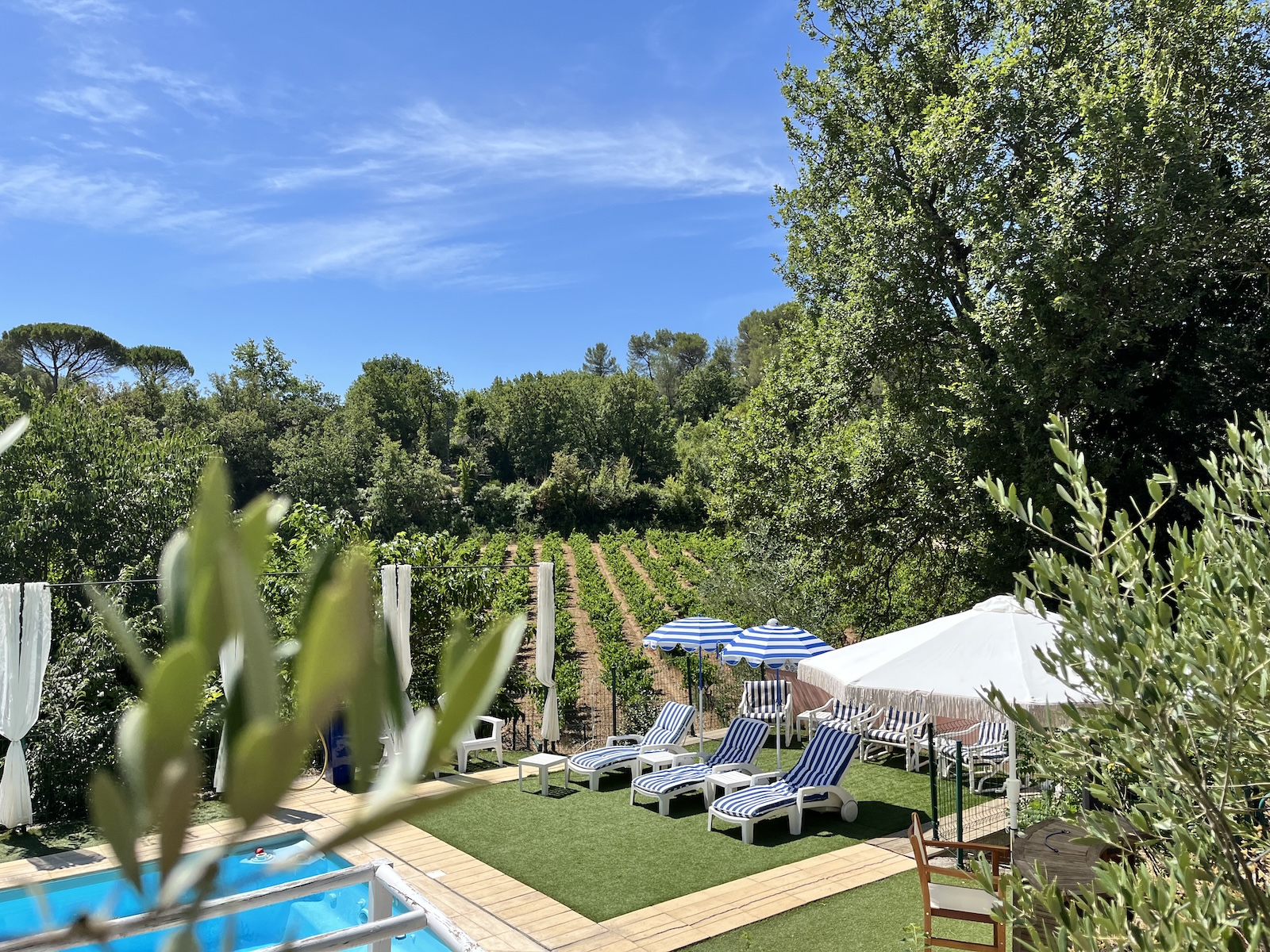 piscine et vignes en provence verte
