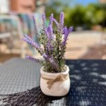 terrasse avec pot de lavande d une maison d hotes en provence verte