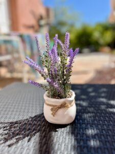 Chambre Dolce Vita Junior Suite terrasse avec pot de lavande d une maison d hotes en provence verte
